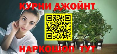 дмт Гусев