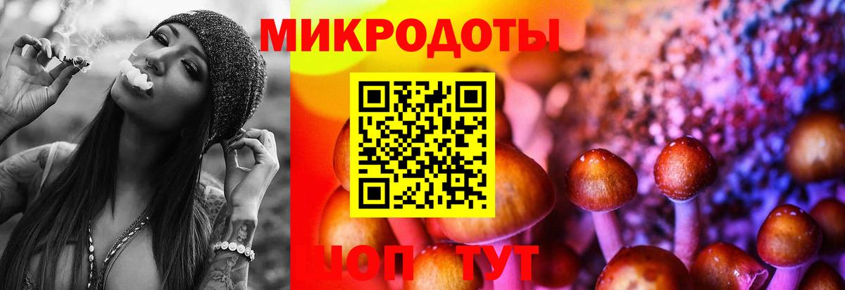 Галлюциногенные грибы MAGIC MUSHROOMS  Вход с VPN  Тимашёвск  Псилоцибиновые грибы GOLDEN TEACHER 