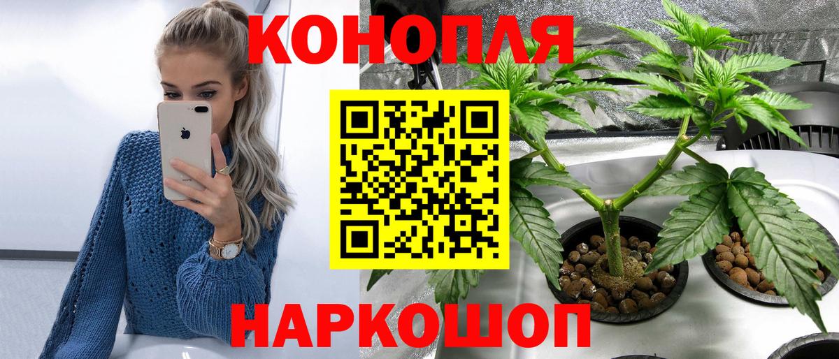 Конопля Amnesia Тимашёвск